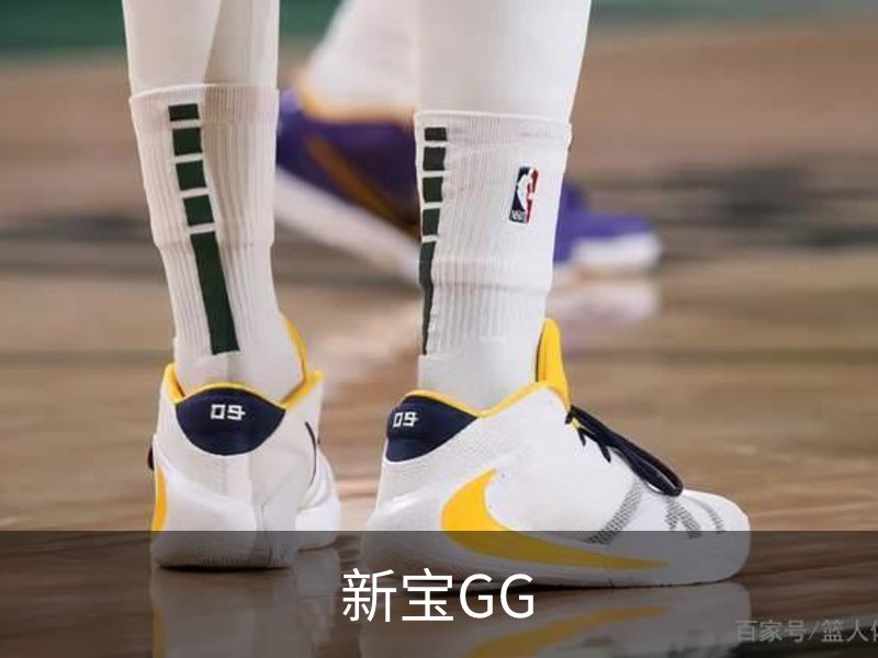 新宝GG简介